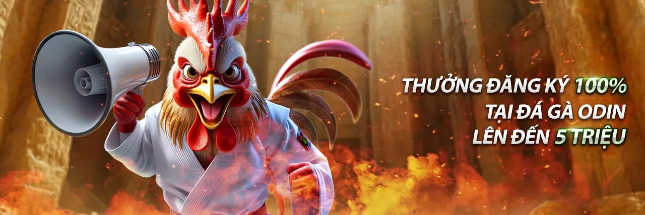 Hình ảnh Điều Khoản Dịch Vụ trangbet88