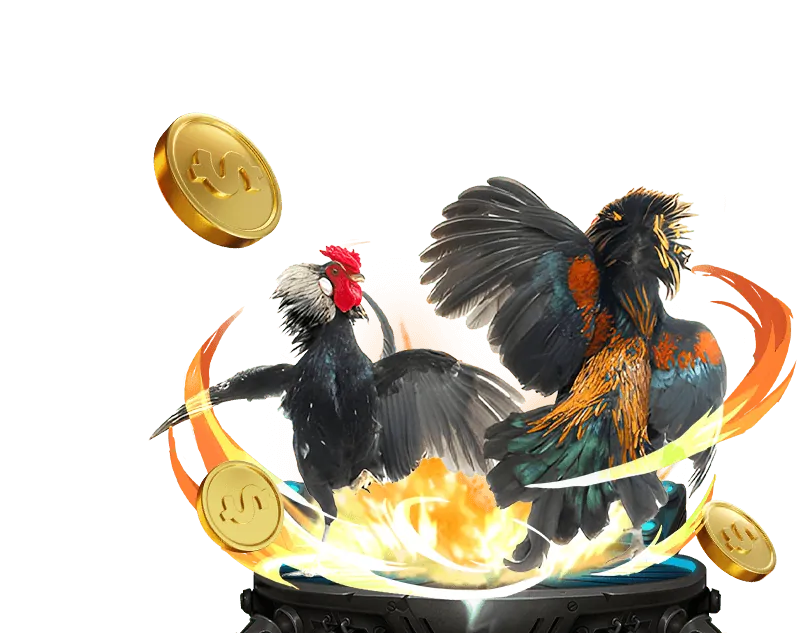 Tỷ lệ thắng cao trangbet88